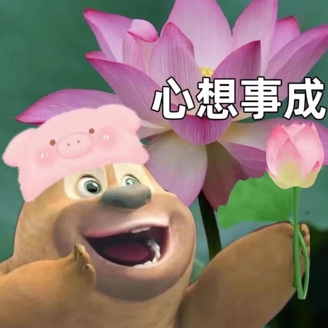 小杨别吃了