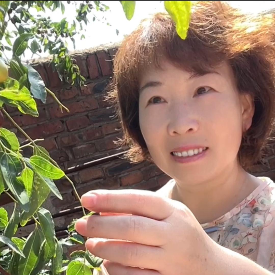 吉祥的日子
