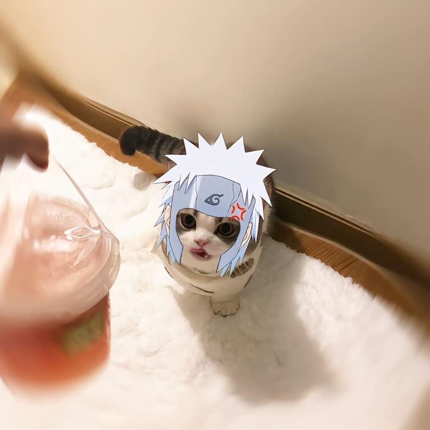 我女朋友很可爱