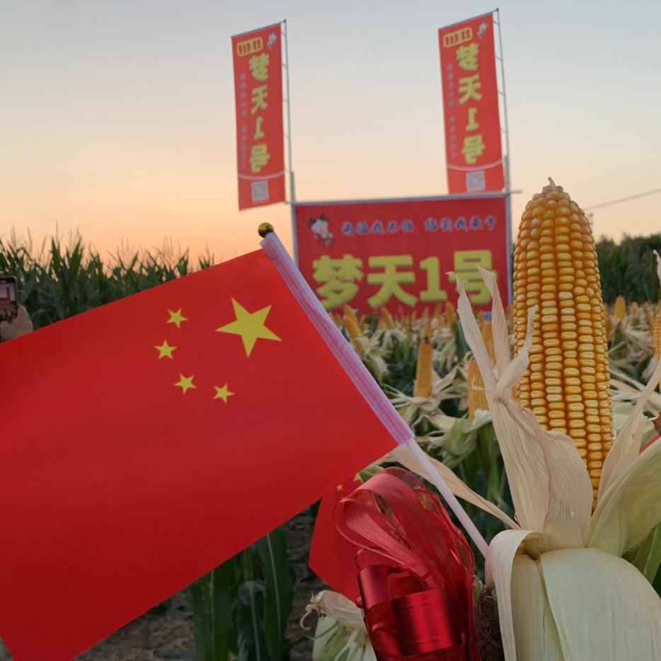 80后种业人
