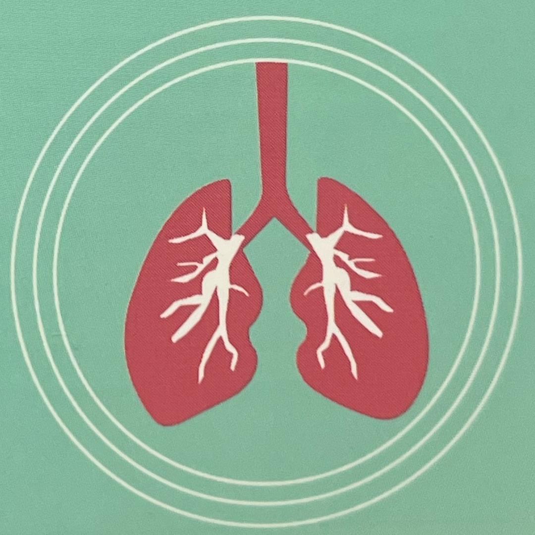 拍拍虎创新部小孟