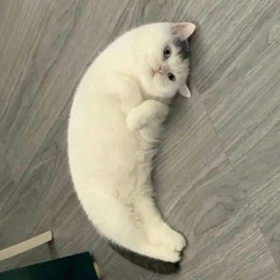 鏡和½💛