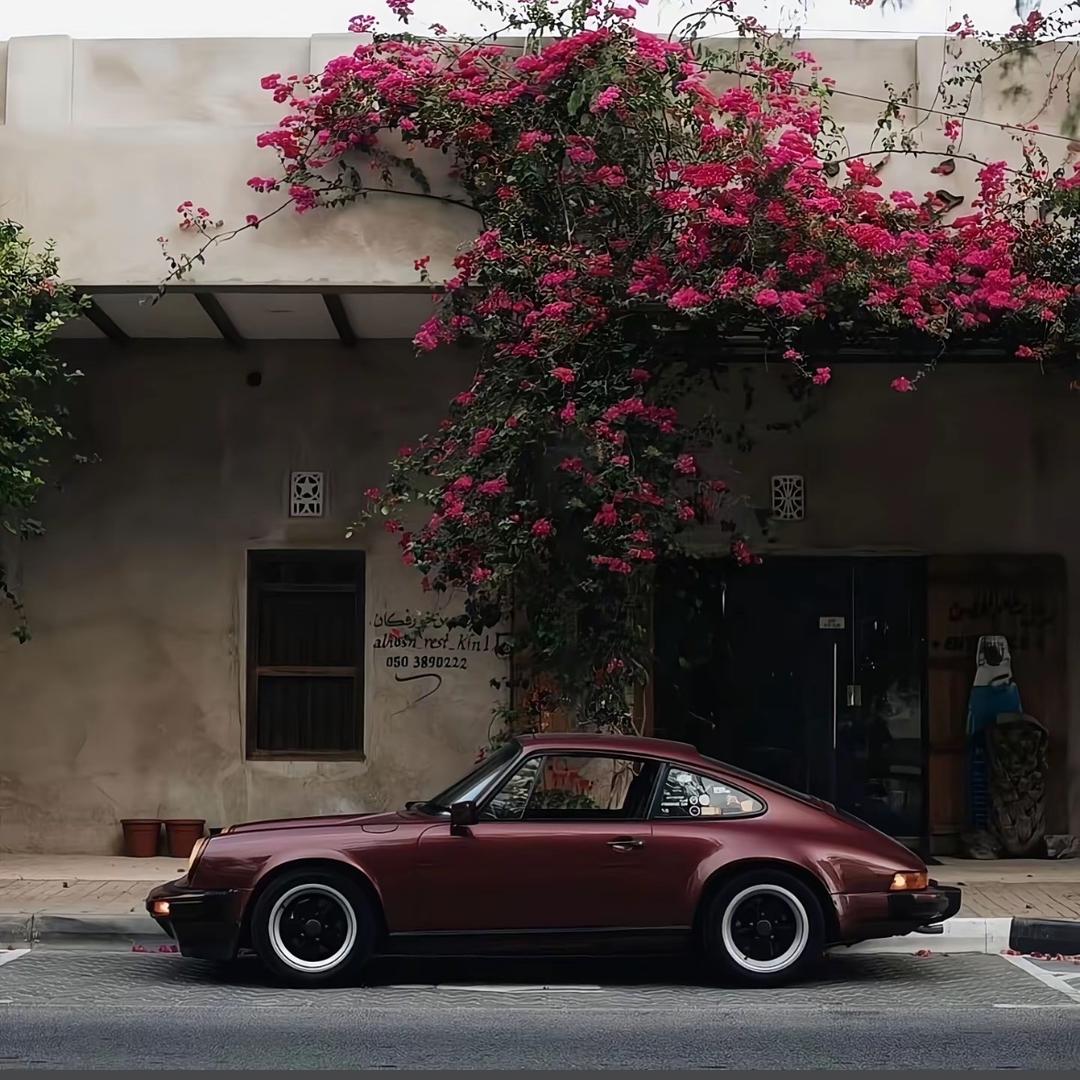 浪漫主义逆行者🐣