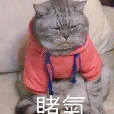 小妹妹喜欢吃西瓜