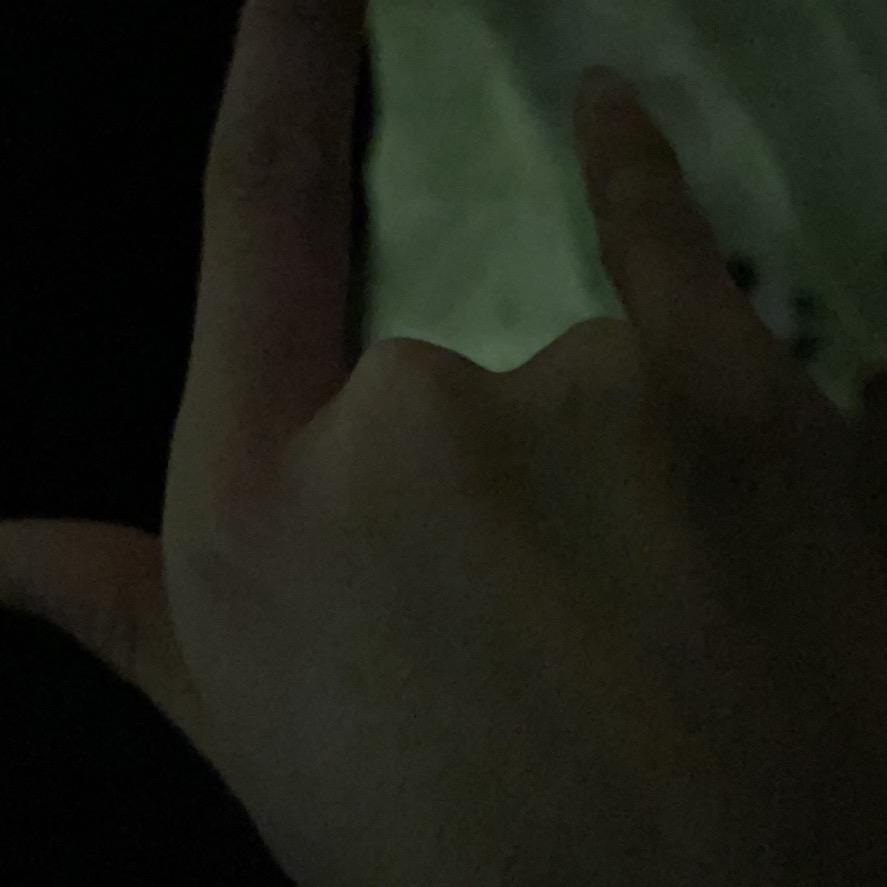 诚诚恳恳子
