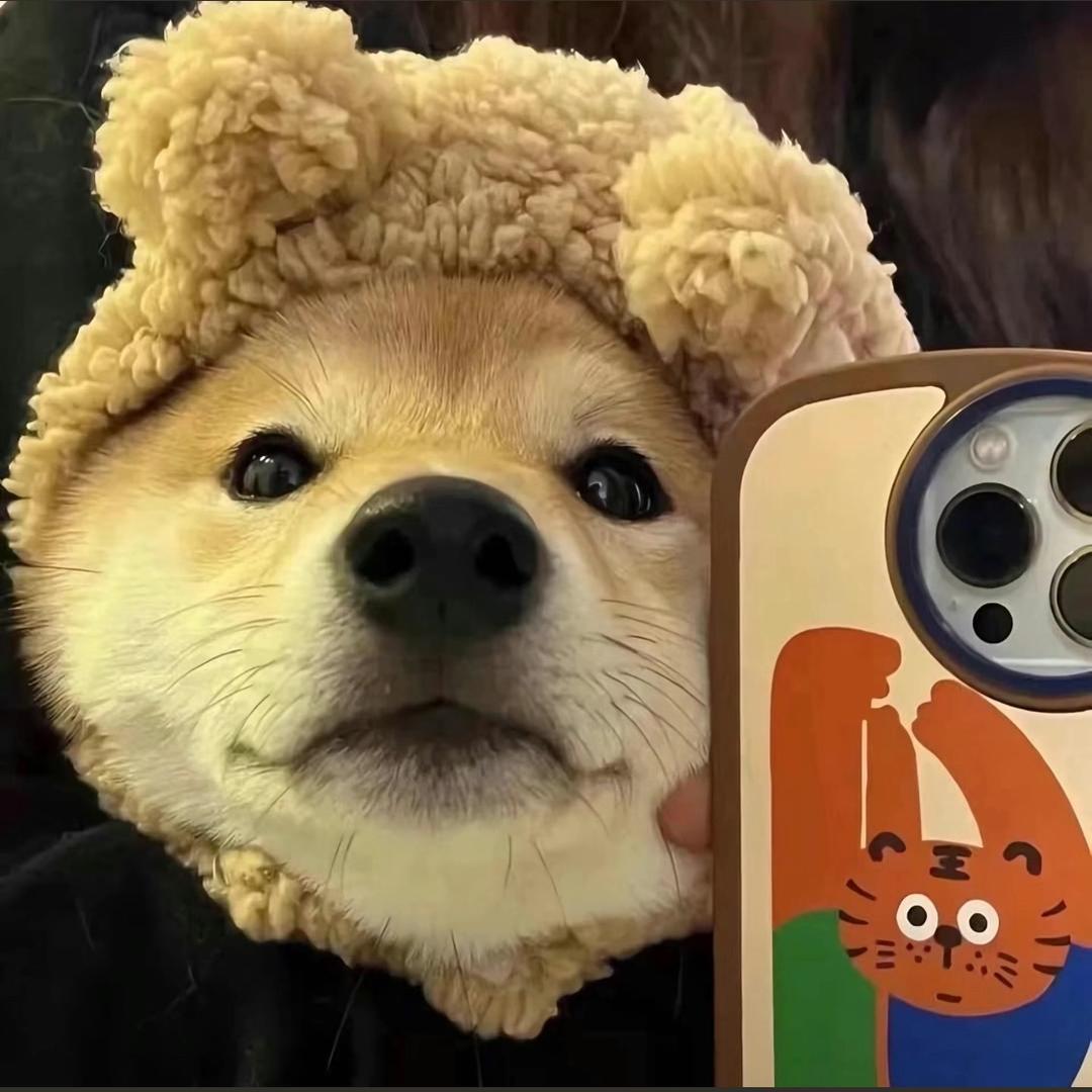 菠萝蜜买不了