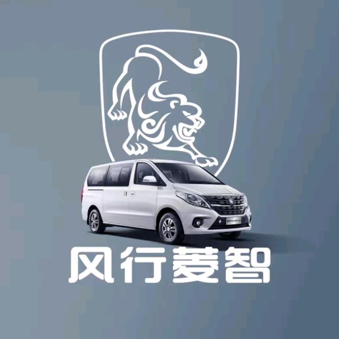 菱智新能源武汉创易行店