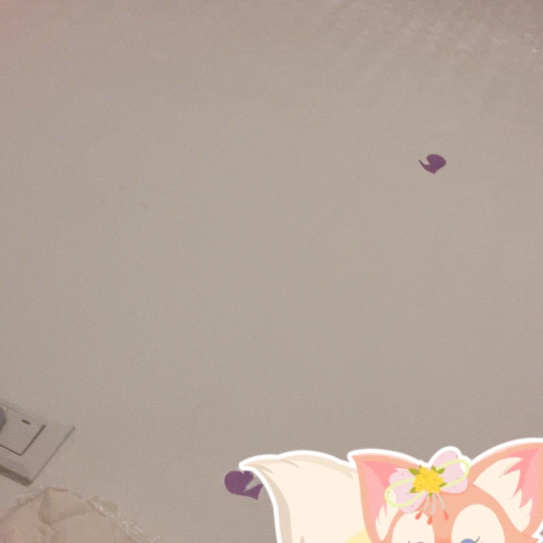 加油雨洋