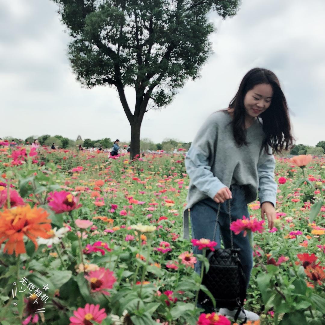 丁大力（烘焙退圈烤鸭子啦🔥）