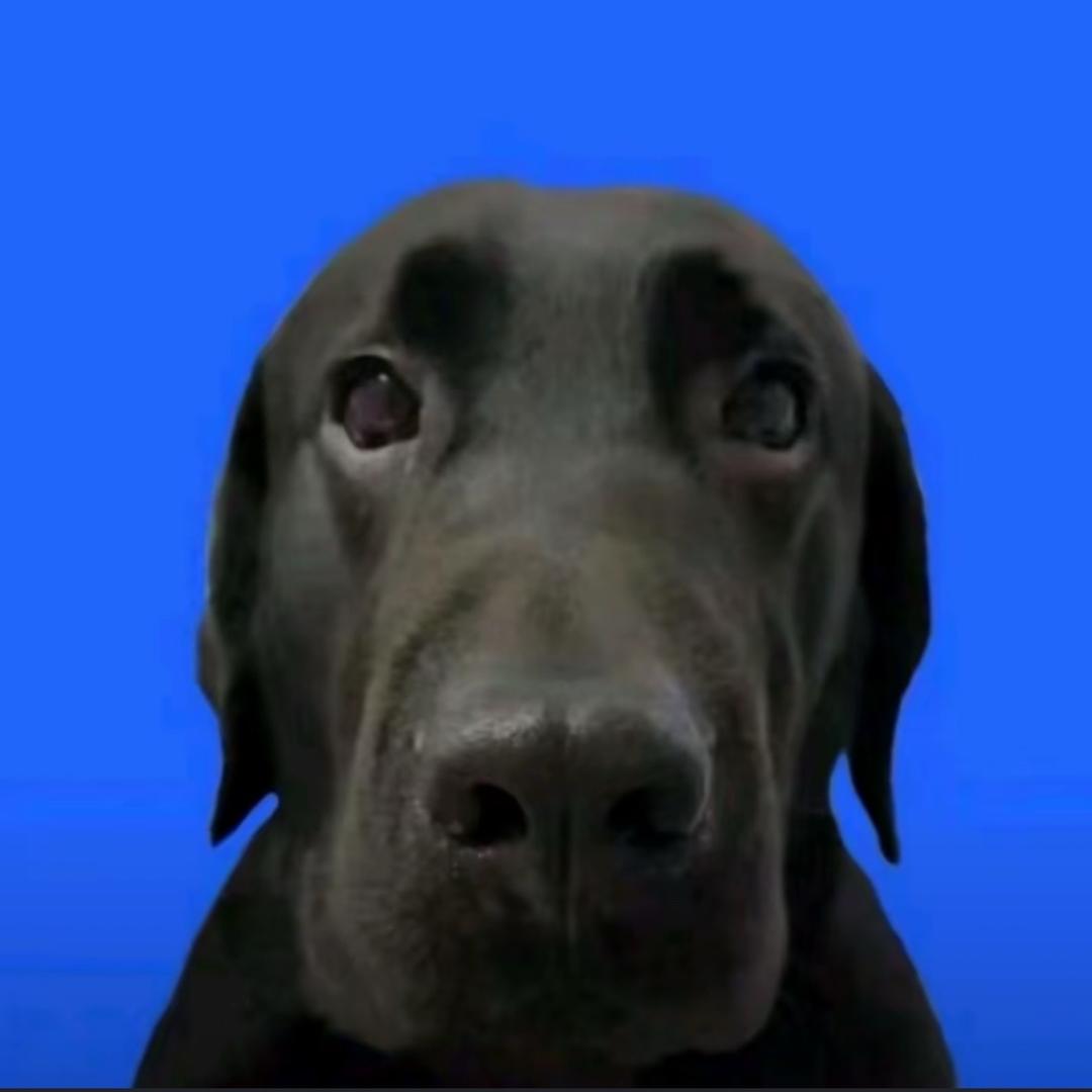 _9.