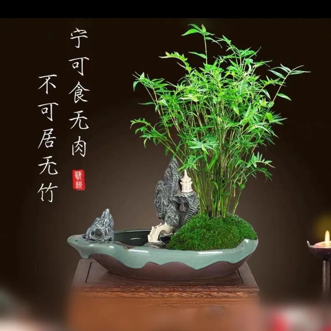 雷洛特花园