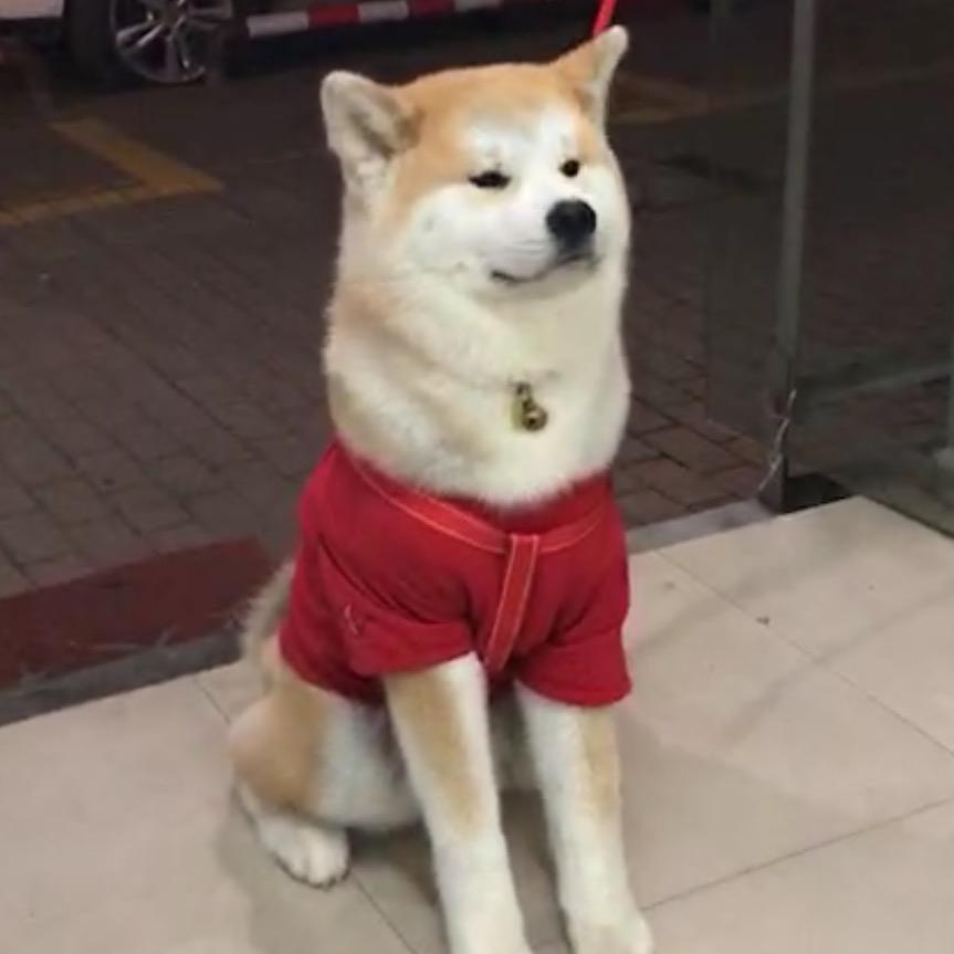嵊州房产西克米尔