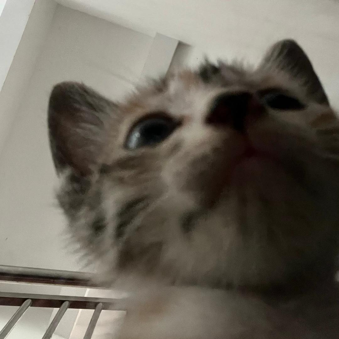 xxttkx