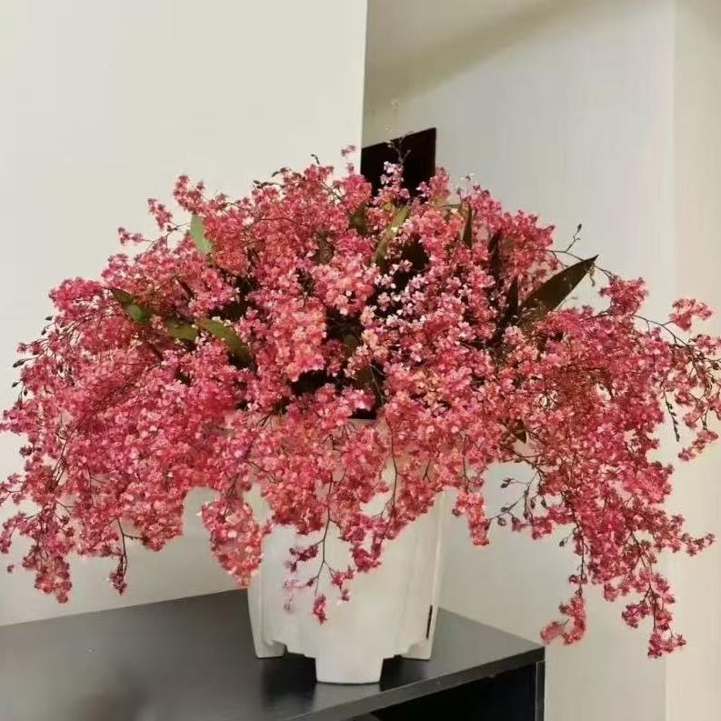 伊仁花卉家庭园艺