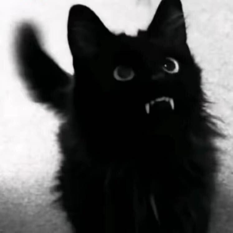 06.