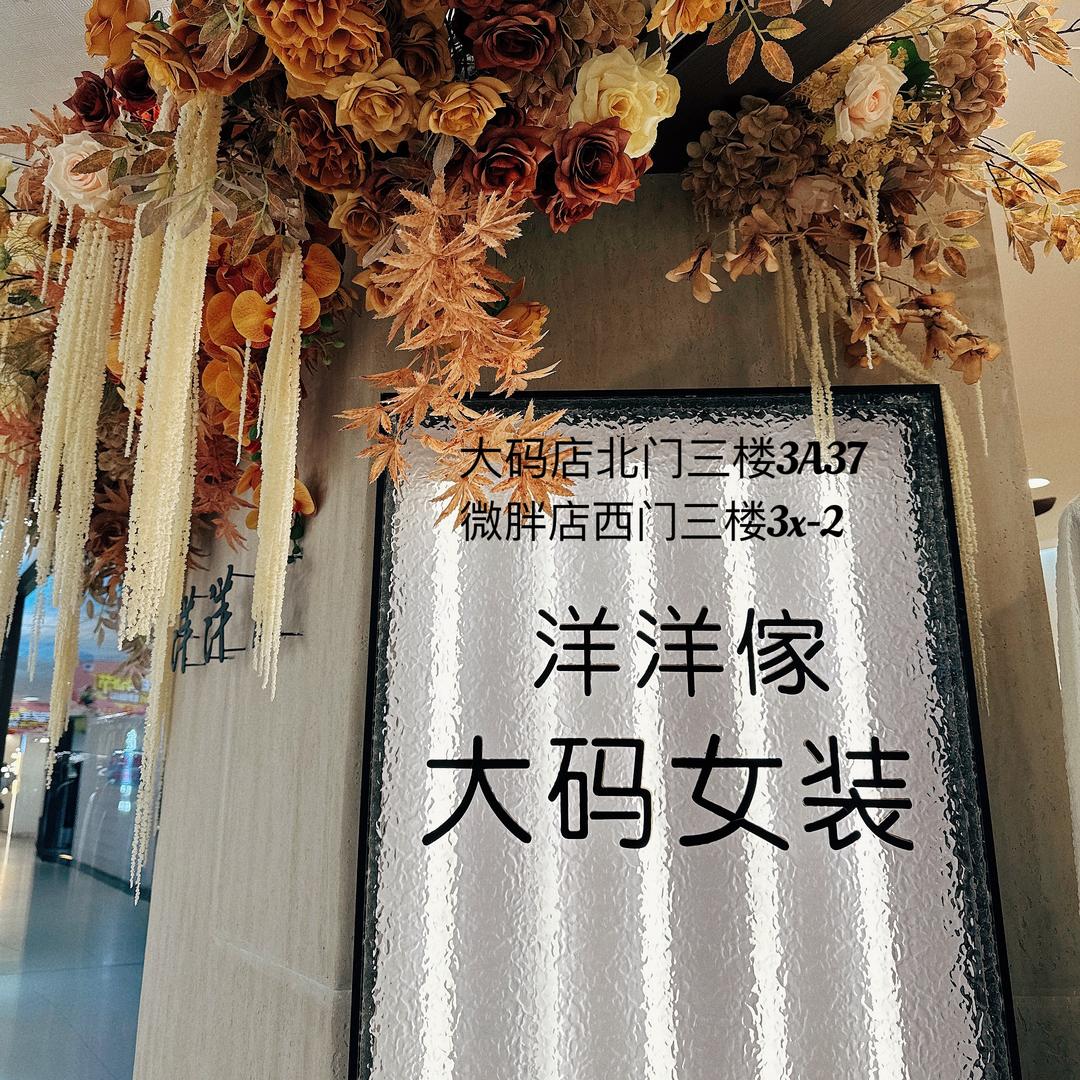 邯郸洋洋傢大码女装