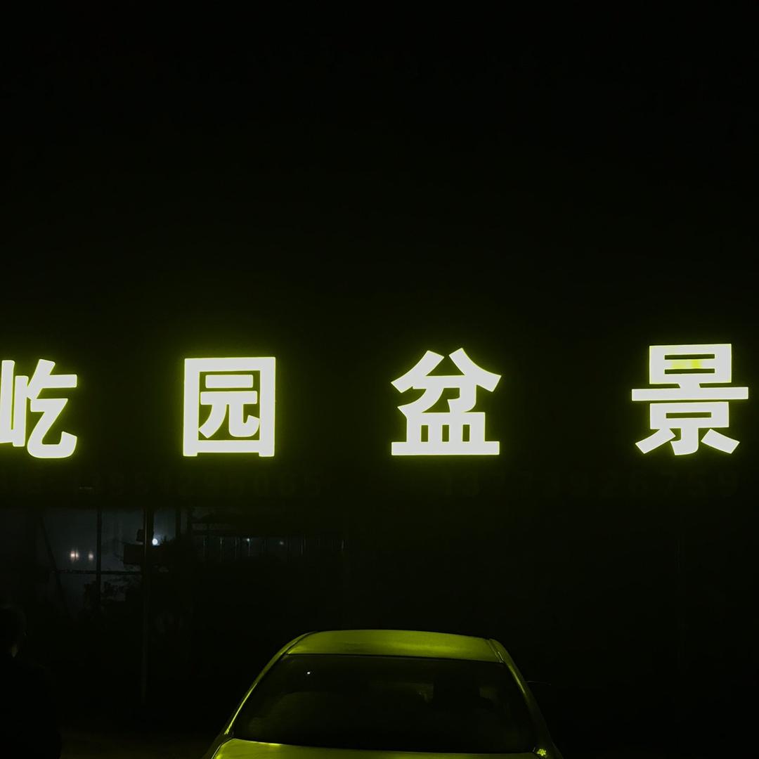 屹园盆景
