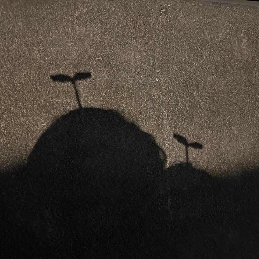 平南装修找美蓉