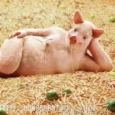 十月