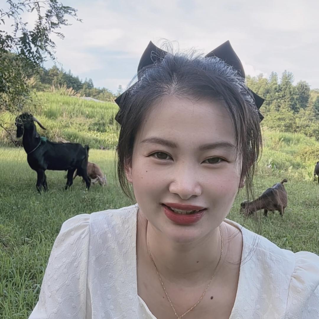 橙乡美羊羊