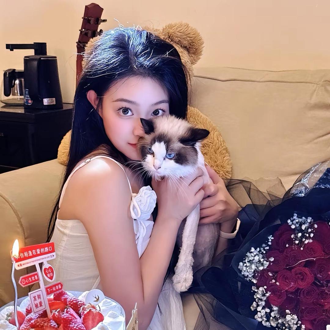 涵涵不是憨憨💕（休息中）