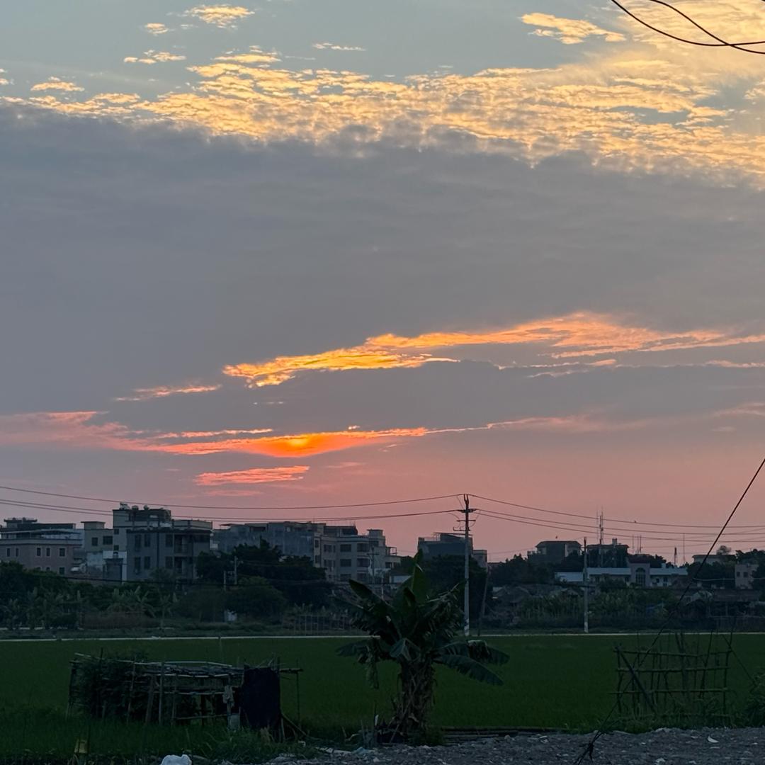 菜菜～