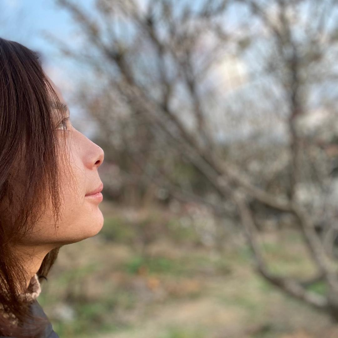 爱吃香菜的大人