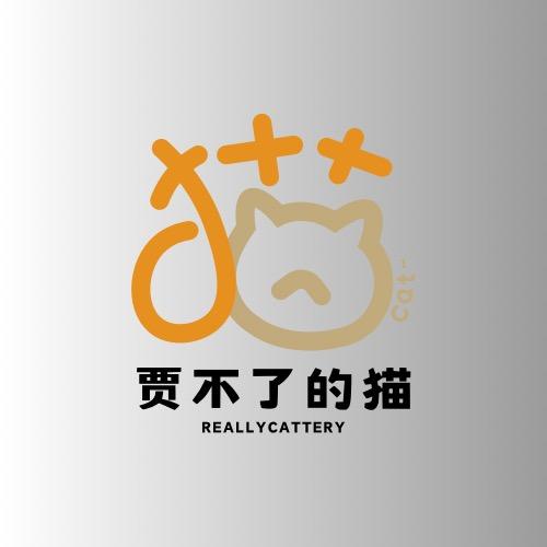 贾不了的猫直播号