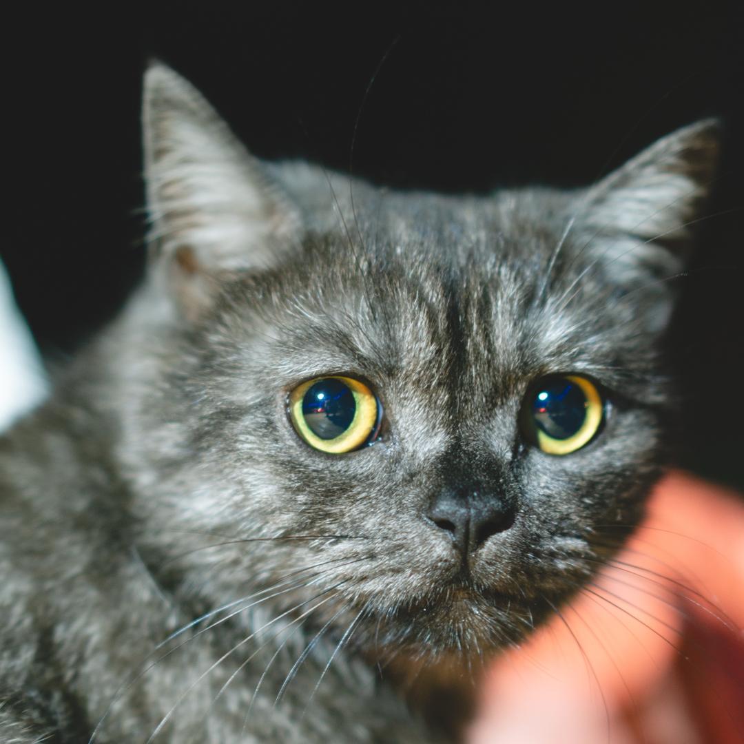 天狼良❤️铺（露营地）