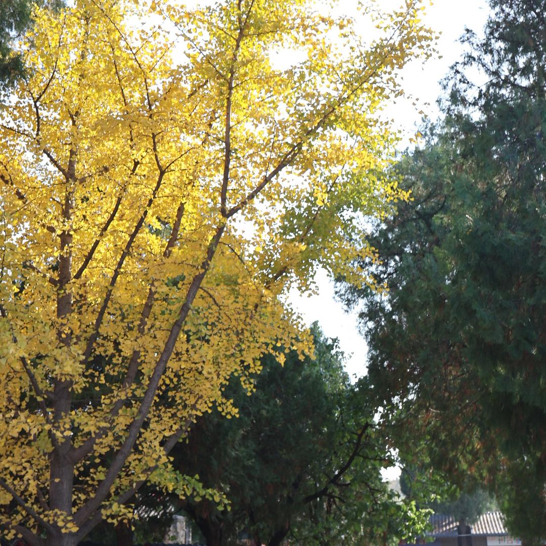 PP——V美👉👉👉