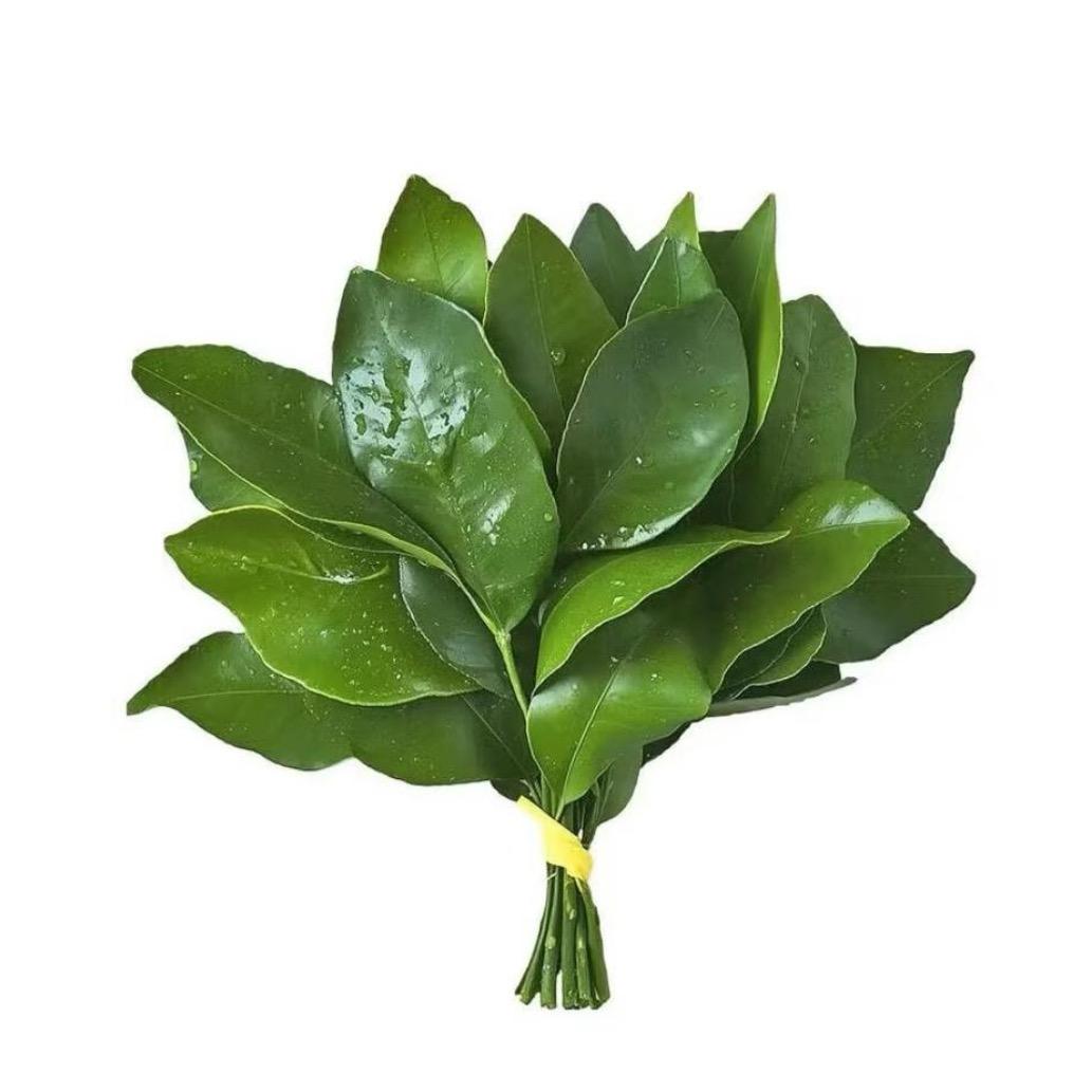超乖