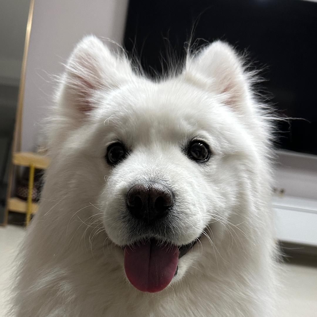 坤女士的冷艳日记