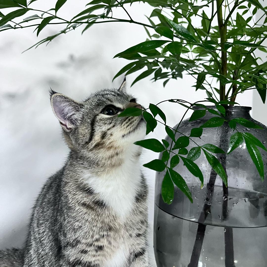 向阳而生