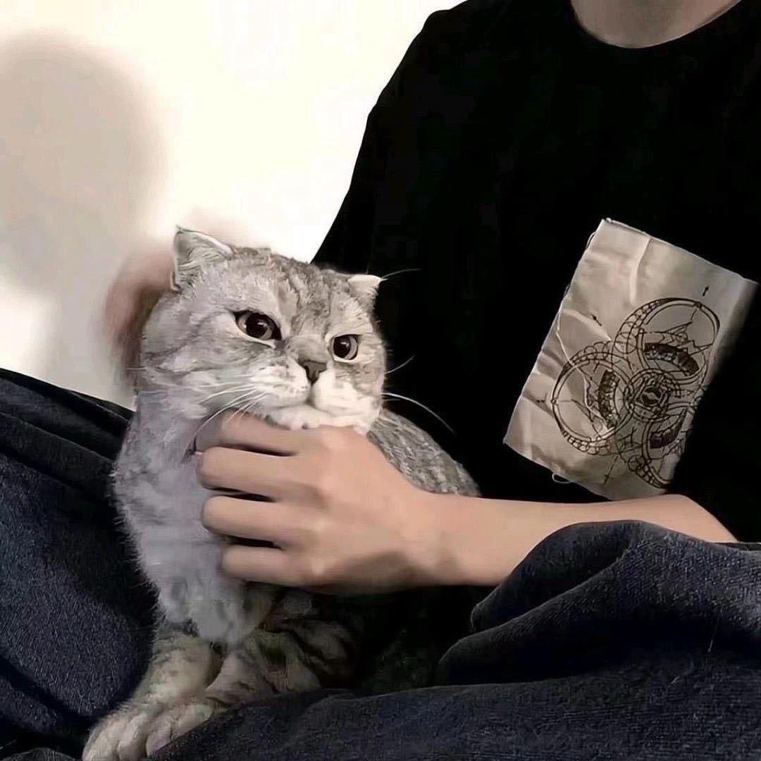 ㅤ  ㅤ