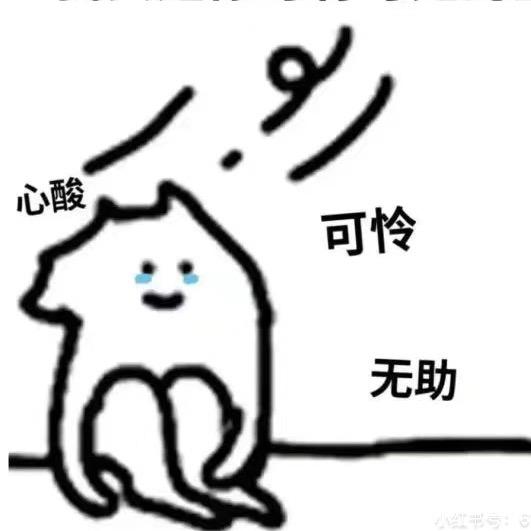 栗子今天跳舞了吗