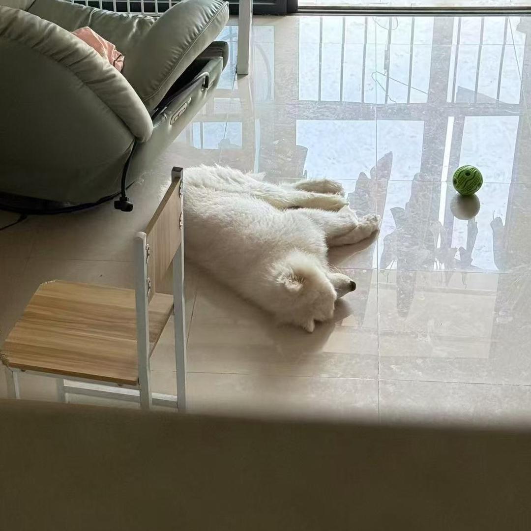 蜡不蜡小新的笔