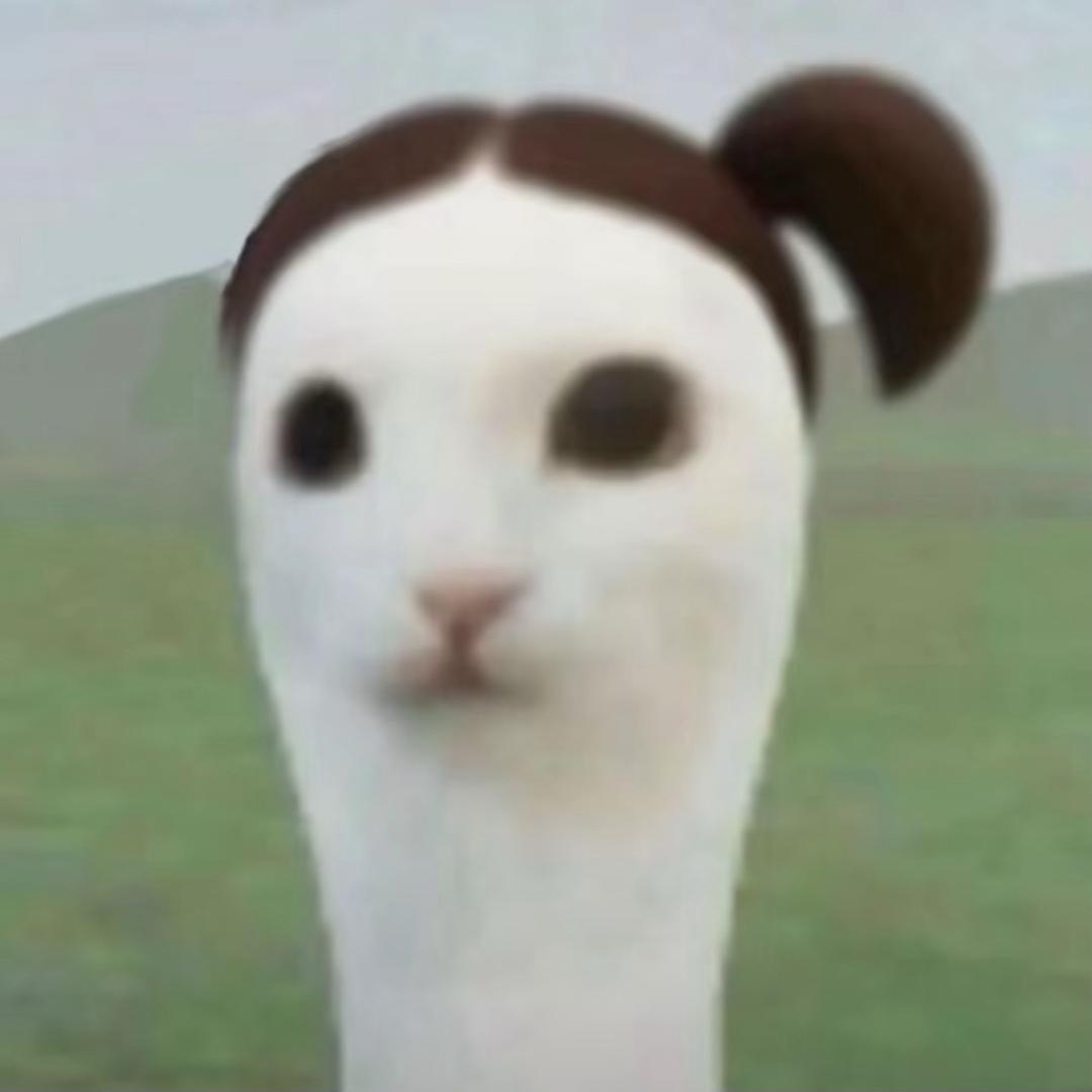 荔枝.