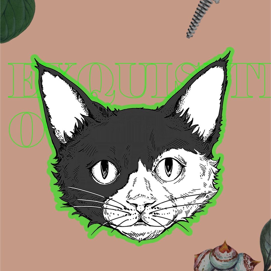 珠海博洛尼整家定制