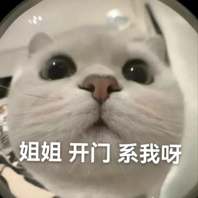 麦腾潮玩