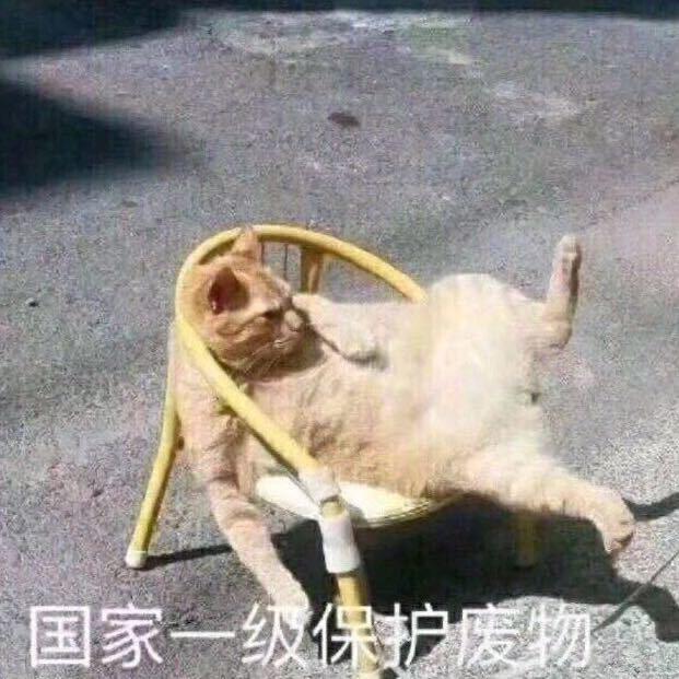 对酒当歌，人生几何