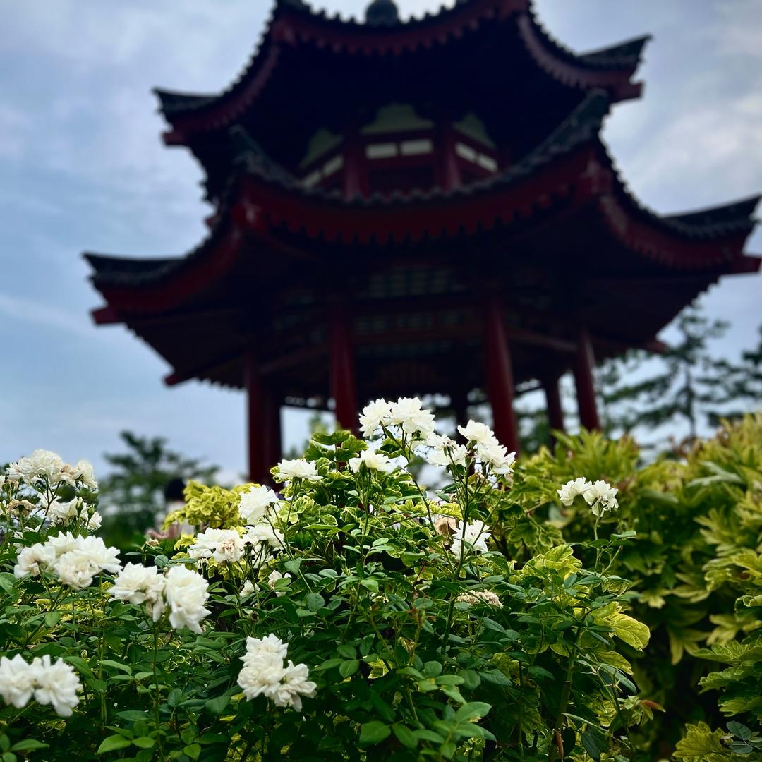 秋叶甄选百货