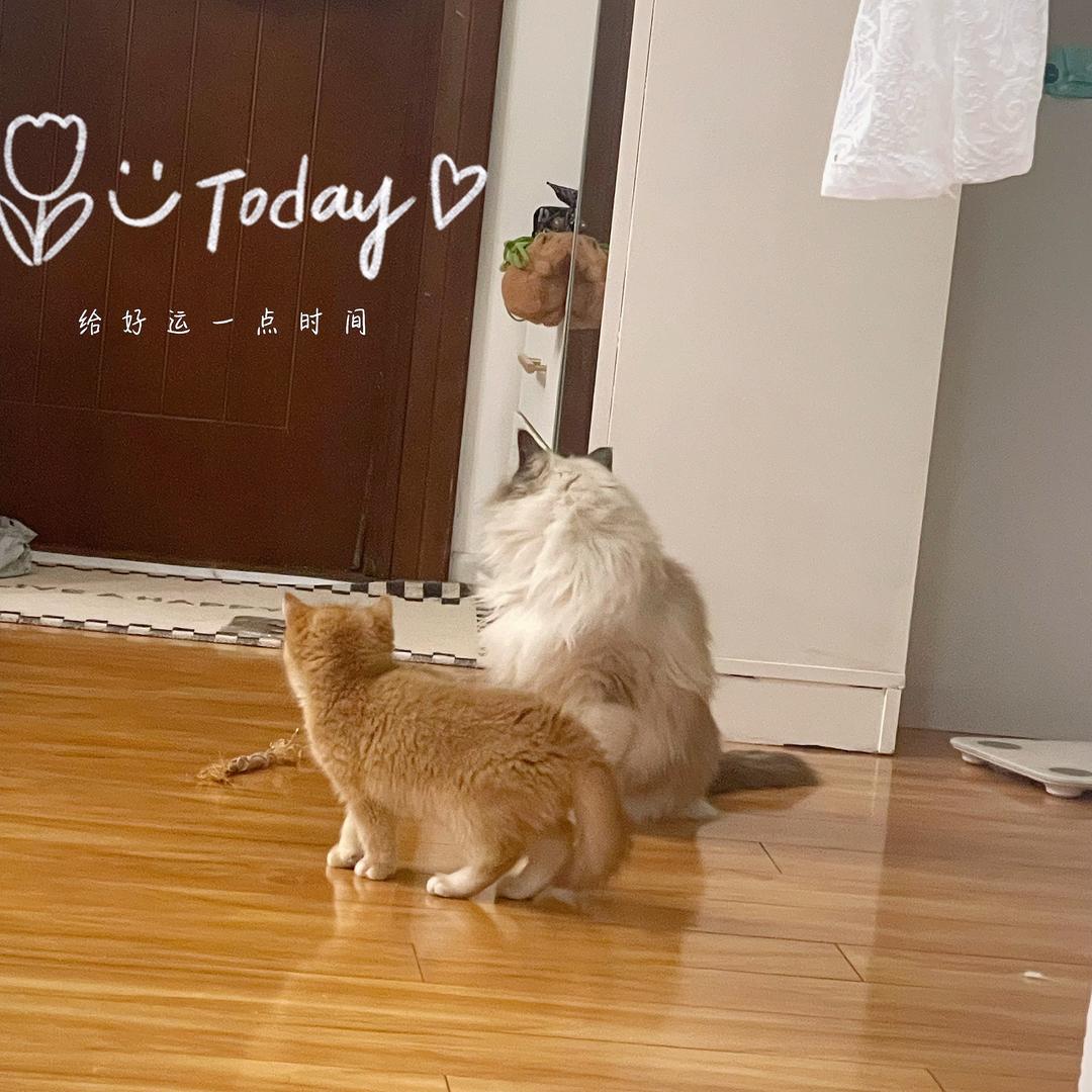 布布与暖暖的幸福