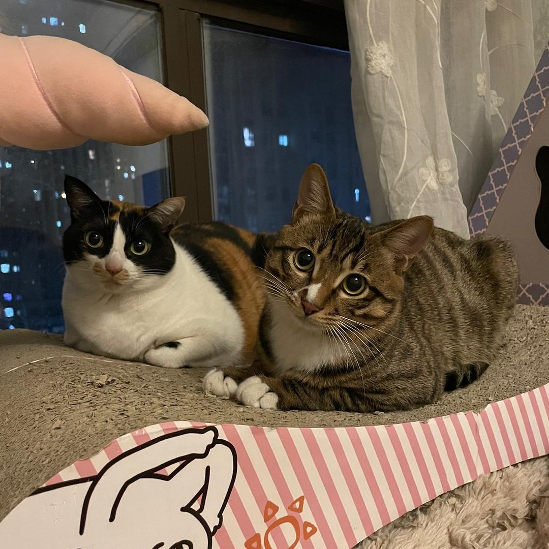 尘世繁华已落尽