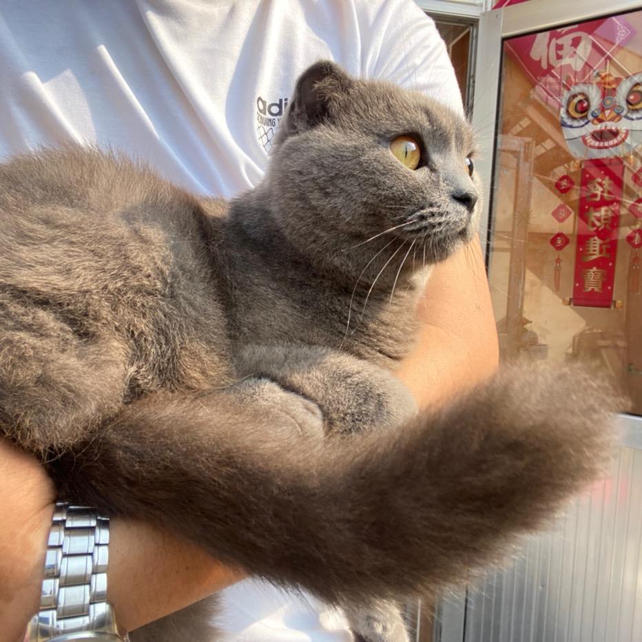 ∞极致家暖通服务有限公司。