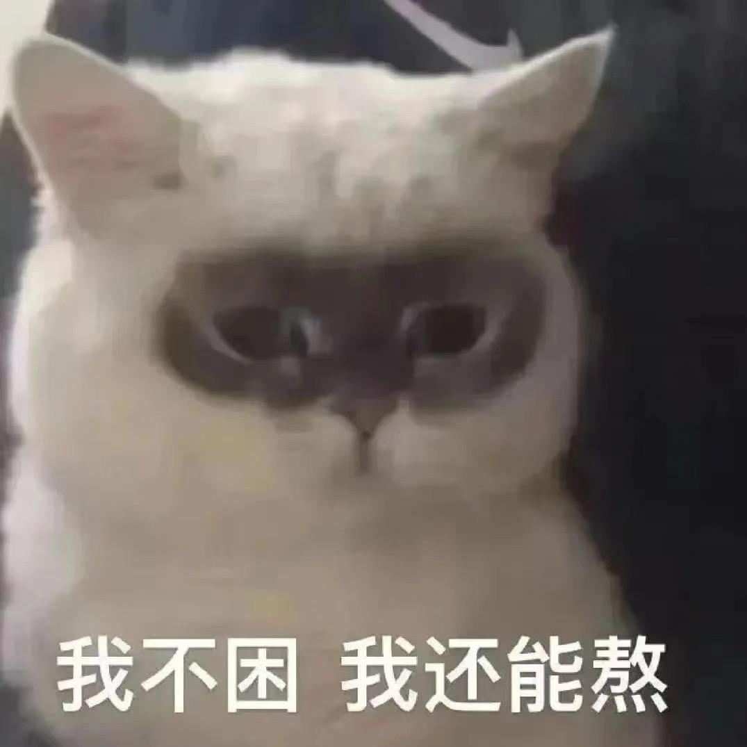 龙摆摆s