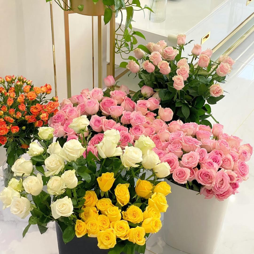 呈南花卉