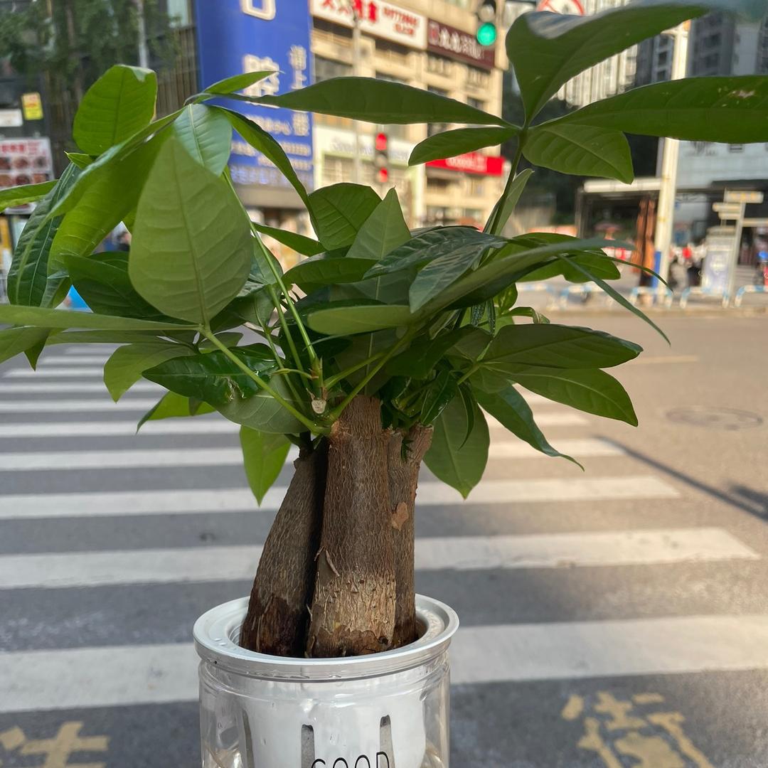 汉诺维运动服饰加工