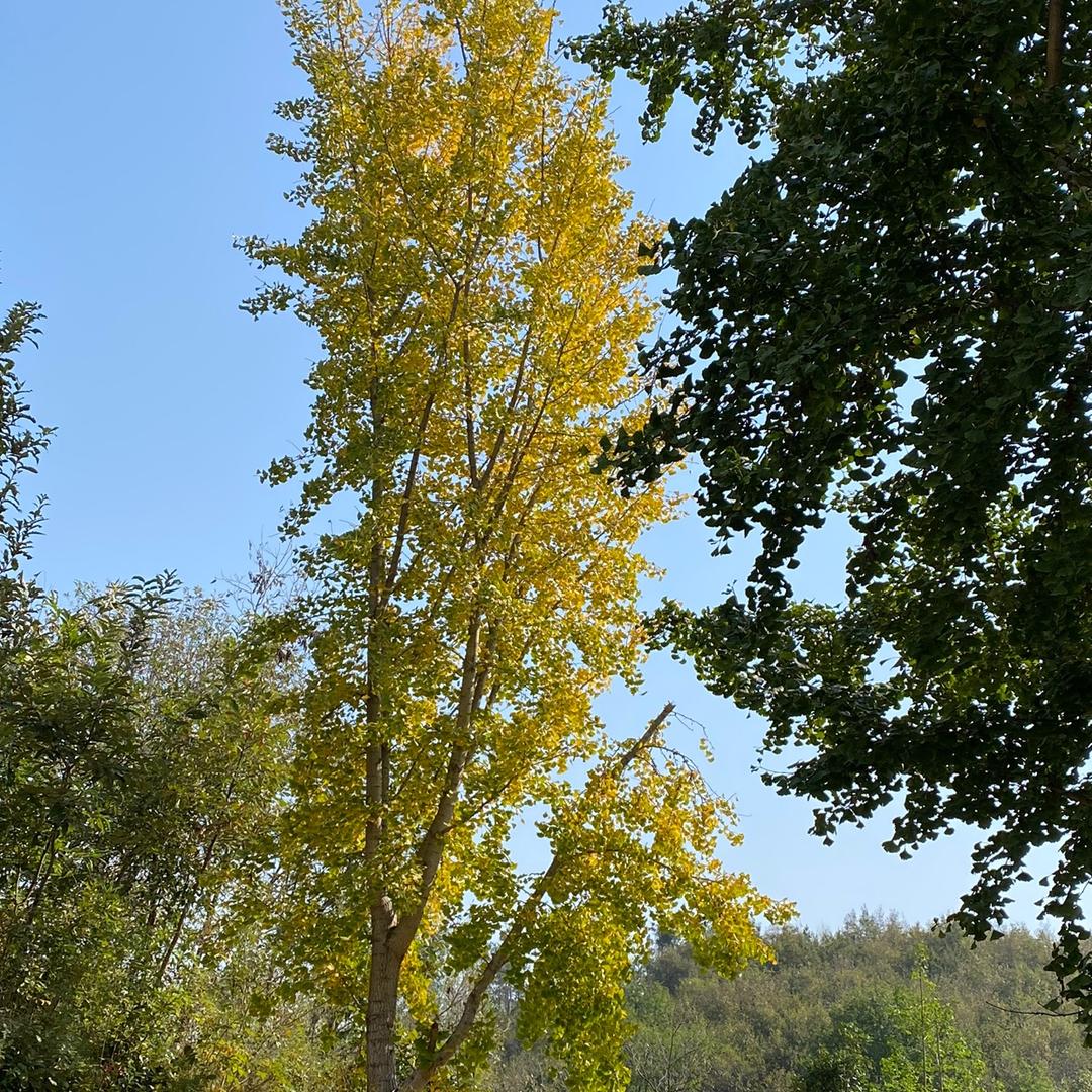 🌈🌈🌈🌈🌈🌈🐘亿兆