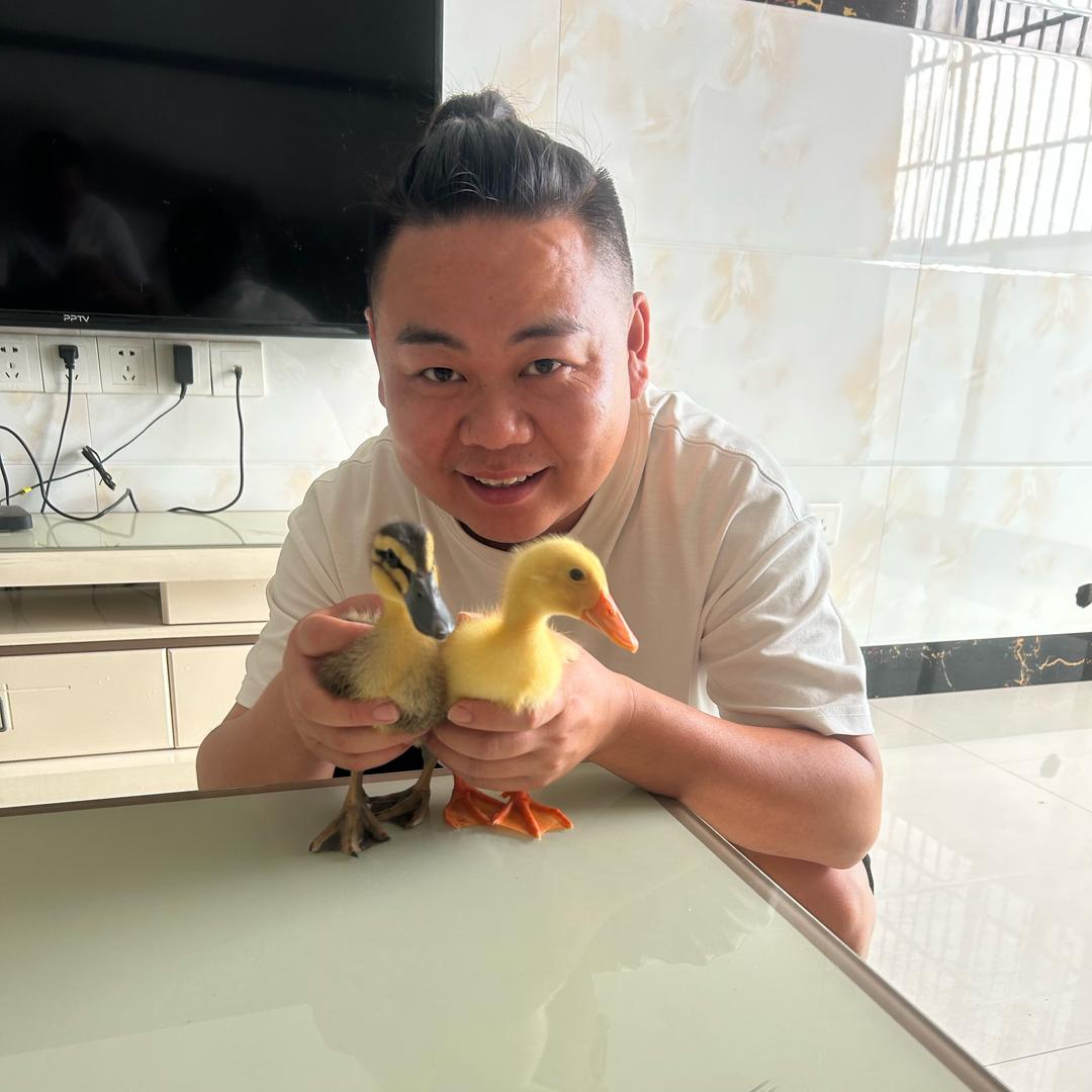 王鸭子