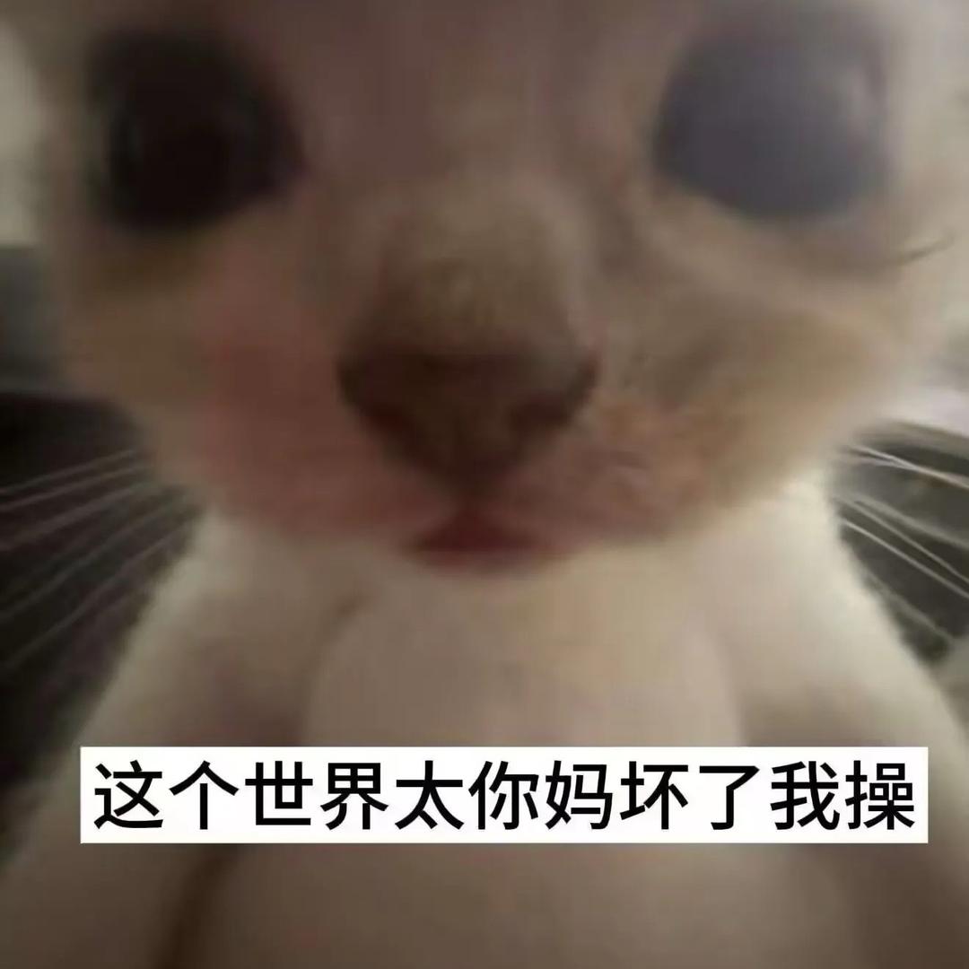 彭于晏¥